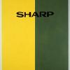 Sharp, 1995, acrylic on canvas, 76 x 61cm.
